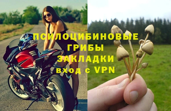 экстази Богданович